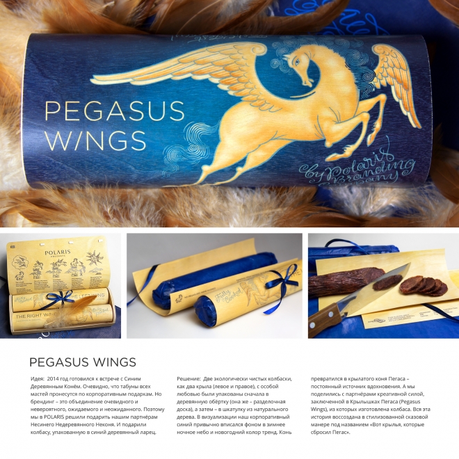 Pegasus Wings